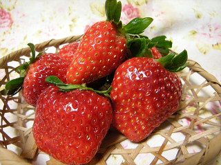 DSCN2835.JPG