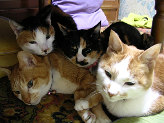 DSCN2850.JPG