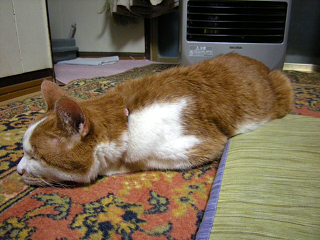 DSCN2925.JPG