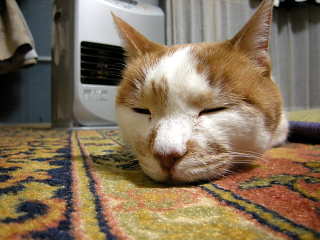 DSCN2926.JPG