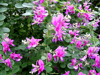 DSCN3891.JPG