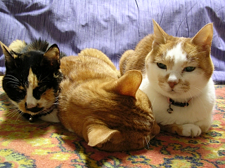DSCN4152.JPG