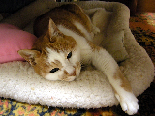 DSCN4831.JPG