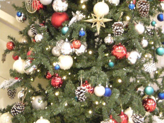 DSCN0231_01.JPG