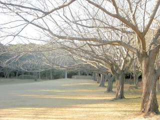 DSCN0319_01.JPG