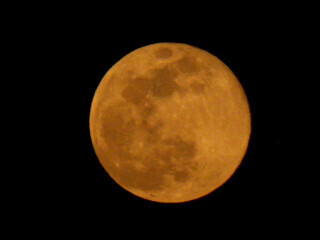 DSCN0693_01.JPG