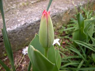 DSCN0716.JPG