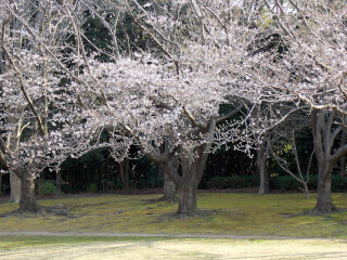 DSCN1106_01.JPG