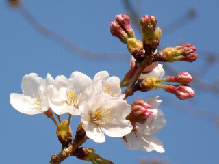 DSCN1109_01.JPG