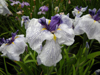 DSCN1444_01.JPG