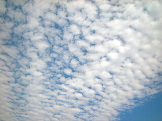DSCN1452_01.JPG