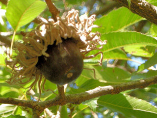 DSCN1460_01.JPG