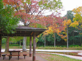 DSCN1574_01.JPG