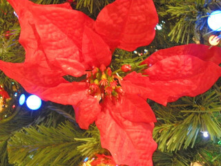 DSCN1598_01.JPG