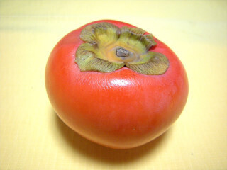 DSCN1629_01.JPG