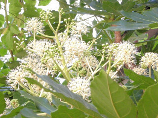 DSCN1655_01.JPG
