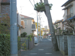 DSCN1829_01.JPG