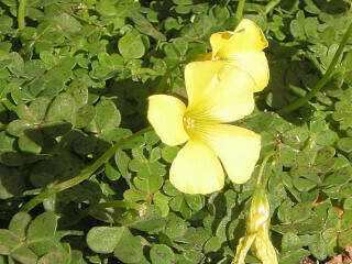 DSCN2071_01.JPG