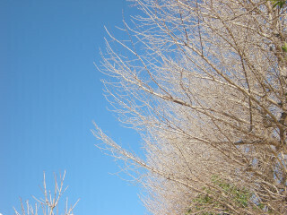 DSCN2074_01.JPG