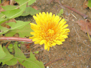 DSCN2105_01.JPG
