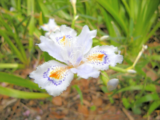 DSCN2338_01.JPG