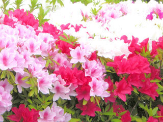 DSCN2388_01.JPG