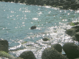 DSCN2405_01.JPG