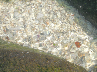 DSCN2409_01.JPG