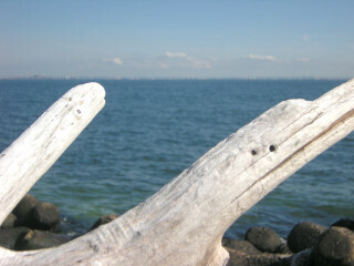 DSCN2411_01.JPG
