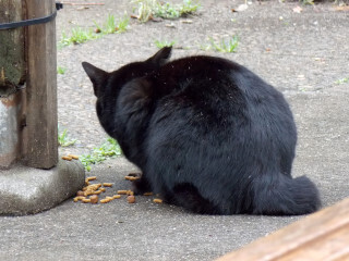 DSCN2417_01.JPG