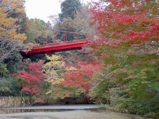 DSCN2510_01.JPG