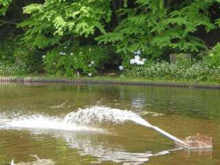 DSCN3490_01.JPG