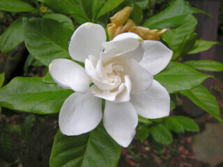 DSCN3552_01.JPG