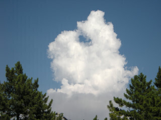 DSCN3734_01.JPG