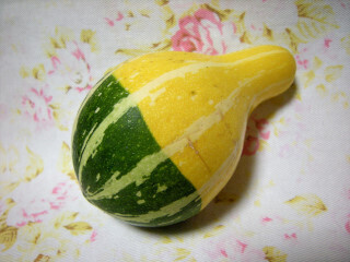 DSCN3892_01.JPG