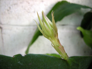 DSCN3942_01.JPG