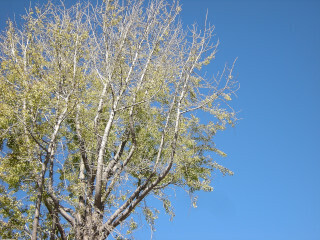 DSCN4140_01.JPG