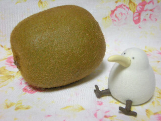 DSCN4252_01.JPG