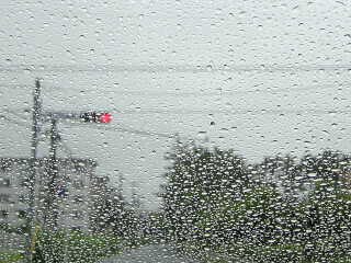 DSCN4523_01.JPG
