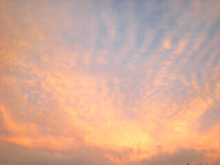DSCN4532_01.JPG