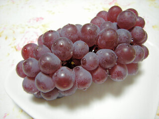 DSCN4573_01.JPG