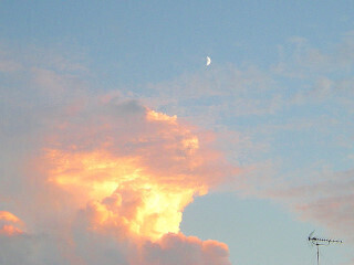 DSCN4577_01.JPG