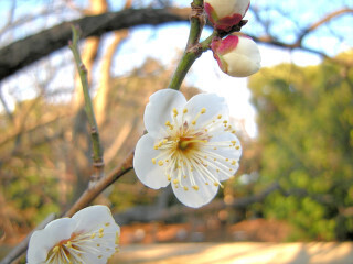 DSCN4678_01.JPG
