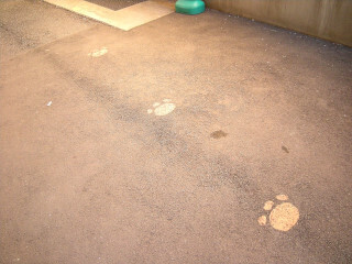 DSCN4700_01.JPG