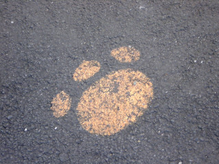 DSCN4701_01.JPG