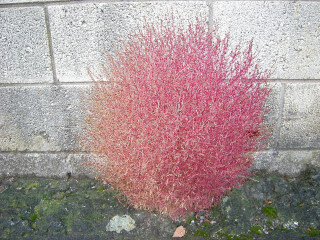 DSCN4754_01.JPG