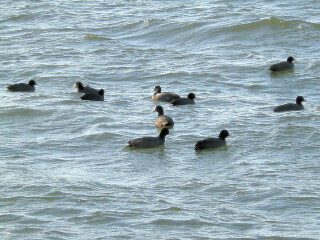 DSCN4935_01.JPG