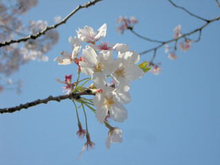 DSCN4992_01.JPG
