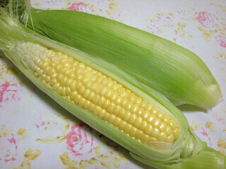 DSCN5349_01.JPG