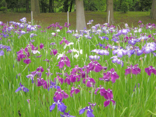 DSCN5360_01.JPG